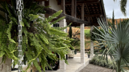 Obra_Ivan_ Fiamoncini_01