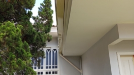 WhatsApp Image 2025-12-05 at 11.22.51 (1)