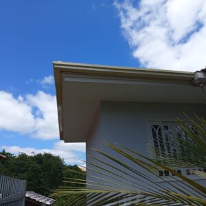 WhatsApp Image 2025-12-05 at 11.22.52